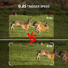 Load image into Gallery viewer, Mivo WildPro
