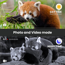 Load image into Gallery viewer, DarkVision
